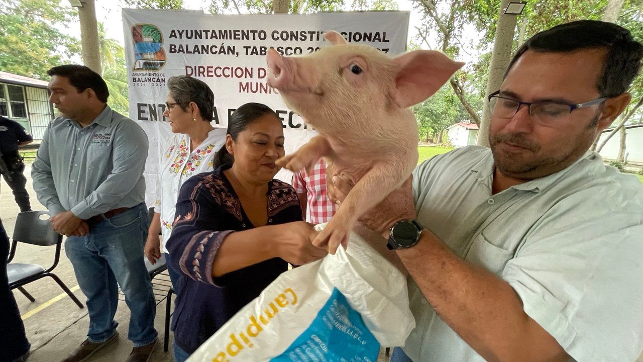 Imagen de la noticia