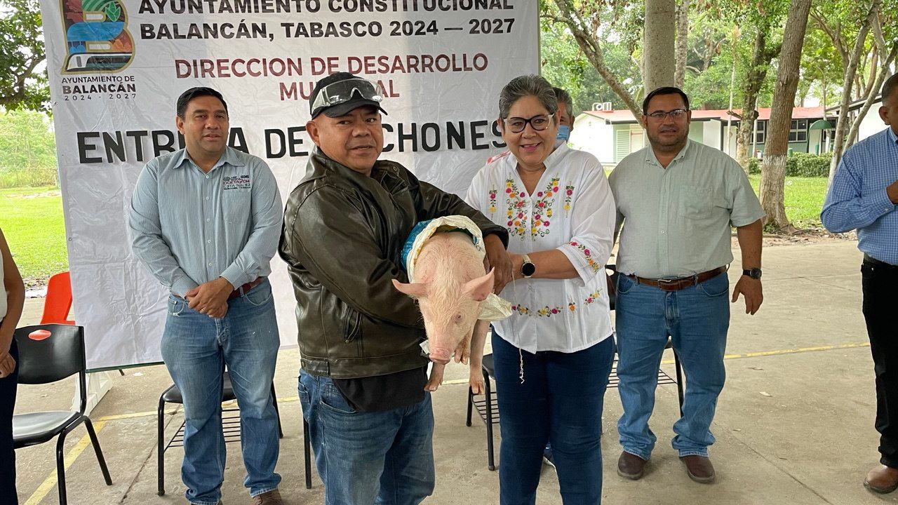 Imagen de la noticia